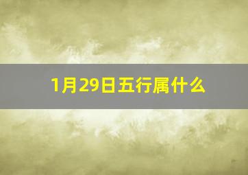 1月29日五行属什么