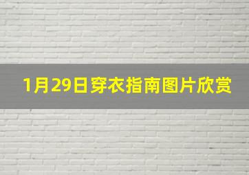 1月29日穿衣指南图片欣赏