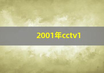 2001年cctv1