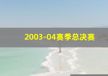 2003-04赛季总决赛