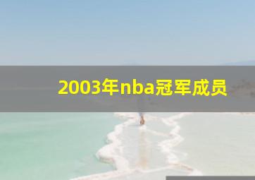 2003年nba冠军成员