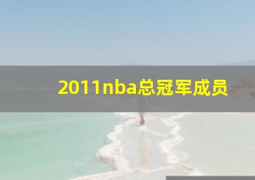 2011nba总冠军成员