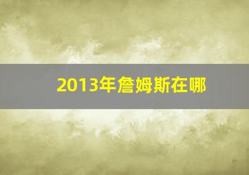 2013年詹姆斯在哪