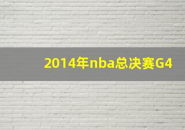 2014年nba总决赛G4