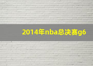 2014年nba总决赛g6