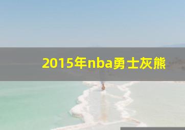 2015年nba勇士灰熊