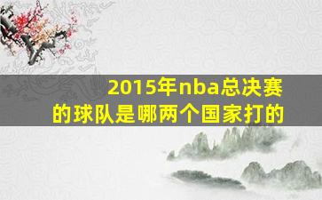 2015年nba总决赛的球队是哪两个国家打的