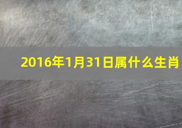 2016年1月31日属什么生肖