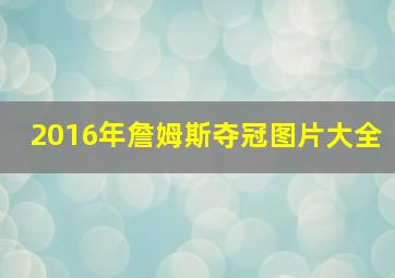 2016年詹姆斯夺冠图片大全