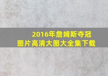 2016年詹姆斯夺冠图片高清大图大全集下载