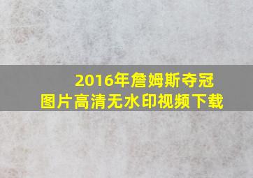 2016年詹姆斯夺冠图片高清无水印视频下载