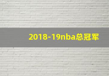 2018-19nba总冠军