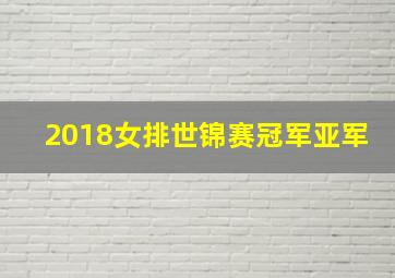 2018女排世锦赛冠军亚军