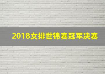 2018女排世锦赛冠军决赛