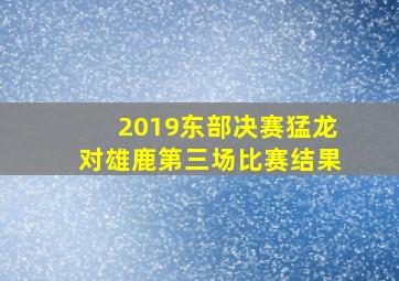 2019东部决赛猛龙对雄鹿第三场比赛结果