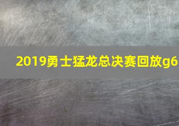 2019勇士猛龙总决赛回放g6