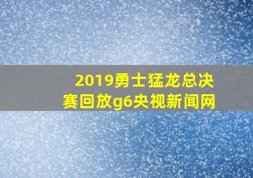 2019勇士猛龙总决赛回放g6央视新闻网