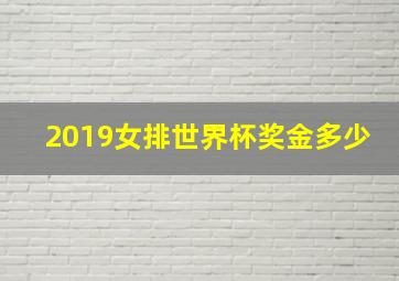 2019女排世界杯奖金多少