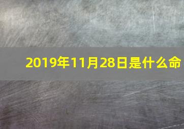 2019年11月28日是什么命