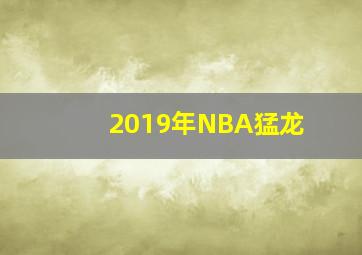 2019年NBA猛龙