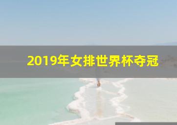 2019年女排世界杯夺冠