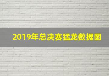 2019年总决赛猛龙数据图