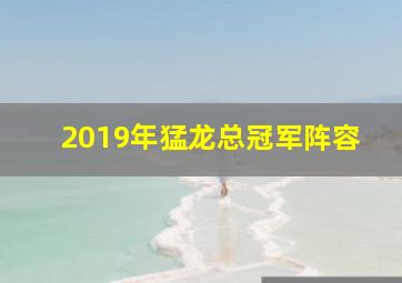 2019年猛龙总冠军阵容