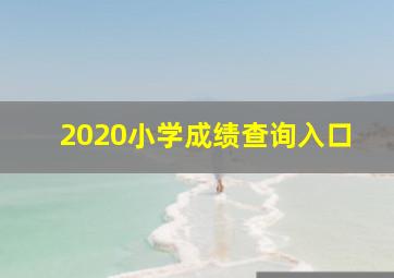 2020小学成绩查询入口