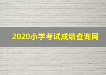 2020小学考试成绩查询网