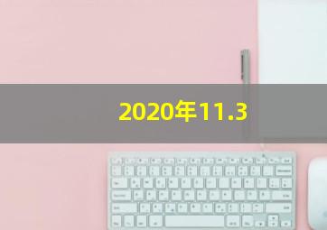 2020年11.3