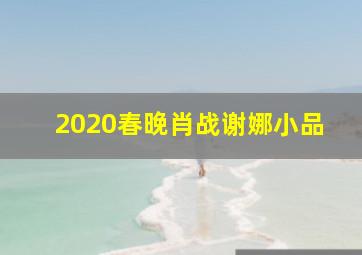 2020春晚肖战谢娜小品