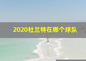 2020杜兰特在哪个球队