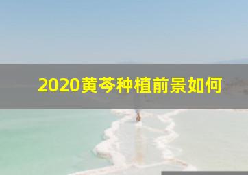 2020黄芩种植前景如何