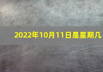 2022年10月11日是星期几