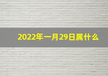 2022年一月29日属什么