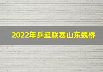 2022年乒超联赛山东魏桥