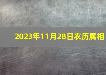 2023年11月28日农历属相