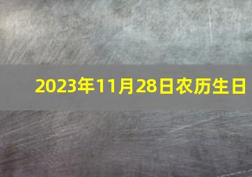 2023年11月28日农历生日