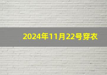 2024年11月22号穿衣