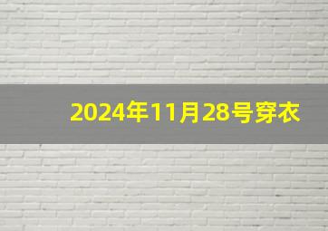 2024年11月28号穿衣