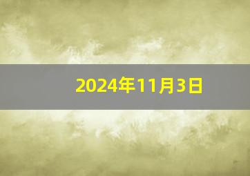 2024年11月3日