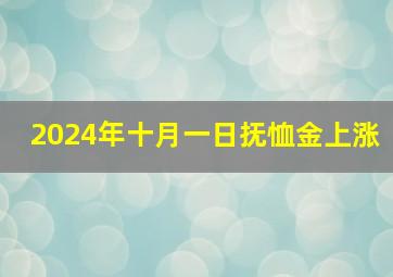 2024年十月一日抚恤金上涨