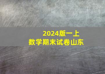 2024版一上数学期末试卷山东