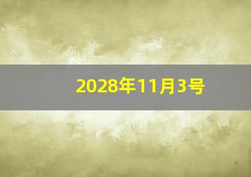 2028年11月3号