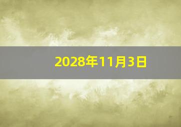 2028年11月3日