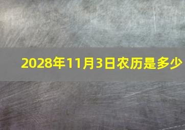 2028年11月3日农历是多少