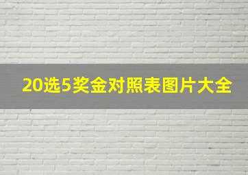 20选5奖金对照表图片大全