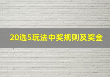 20选5玩法中奖规则及奖金