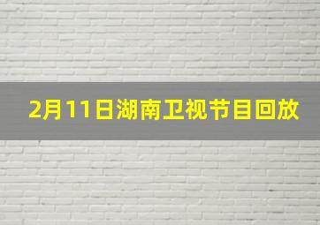 2月11日湖南卫视节目回放