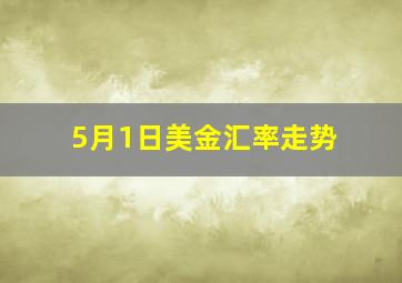 5月1日美金汇率走势